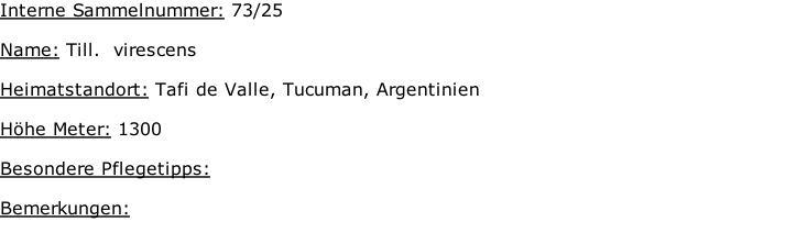 Interne Sammelnummer: 73/25  Name: Till.  virescens    Heimatstandort: Tafi de Valle, Tucuman, Argentinien   Höhe Meter: 1300  Besondere Pflegetipps:   Bemerkungen: