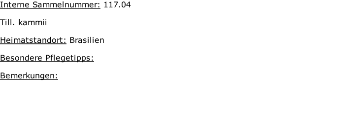 Interne Sammelnummer: 117.04  Till. kammii   Heimatstandort: Brasilien  Besondere Pflegetipps:   Bemerkungen: